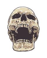 Anatomic Grunge Skull vector