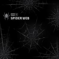 Vector Spider Webs on Black Background