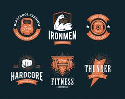 Retro Fitness Emblems vector