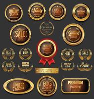 Luxury premium golden badges and labels vector