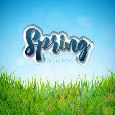 Spring design 
