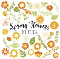 Orange and Yellow Spring Flowers vector