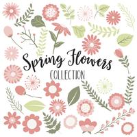 Peach Spring Flowers vector