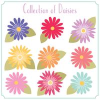 Colorful Daisies vector