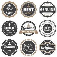 Vintage Retro Vector Logo para banner