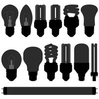 Light bulb  set.  vector