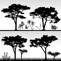 Big tree silhouette scenery.  vector