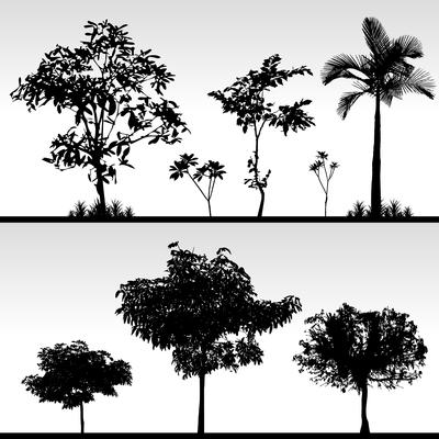 Tree Grass Silhouette. 