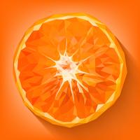 Naranja, una de las frutas auspiciosas chinas. vector