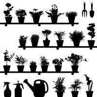 Flower Plant Pot Silhouette.  vector