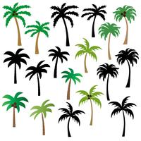palm trees graphics vector