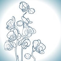 orquidea aislado en blanco vector