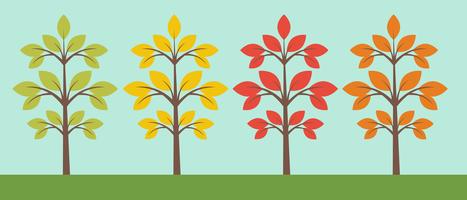 Different trees collection vector