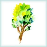 watercolor green tree vector