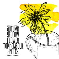 hand drawn yellow flower topinambour sketch vector