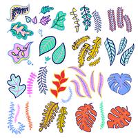 Set of tropical leaf fashionable colors. vector