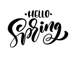 Calligraphy lettering phrase Hello Spring vector