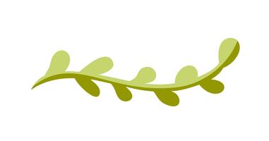 Vector flat abstract green plants flower herbs icon