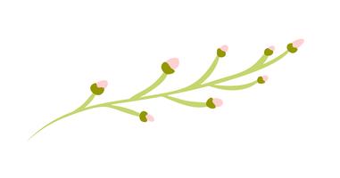 Vector flat abstract green plants flower herbs icon.
