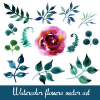 Set of beautiful watercolor flowers vector