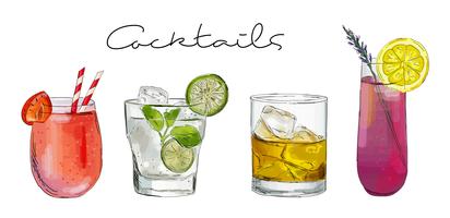 Hand drawn illustration with cocktails. vector