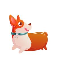 Happy cute dog corgi running on white isolated background. Vector cartoon illustration