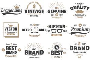 Vintage Retro Vector etiquetas para banner