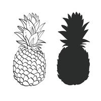 Black and white Pineapple vector