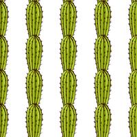 Seamless pattern of cacti and succulents in pots. vector