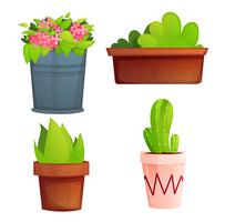 Landscape garden potted plants with pink flowers and cactus. Vector cartoon illustration 