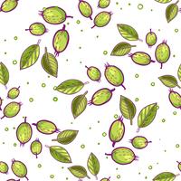 Gooseberry in doodle, sketch style  vector