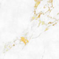Marble texture with gold highlights  vector