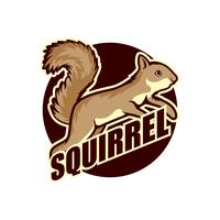 squirrel logo vector