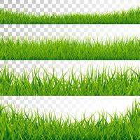 Green Grass Borders Set Vector Illustration on Transparent Background.