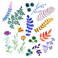 Set of beautiful watercolor flowers vector