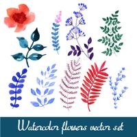 Conjunto de hermosas flores de acuarela vector