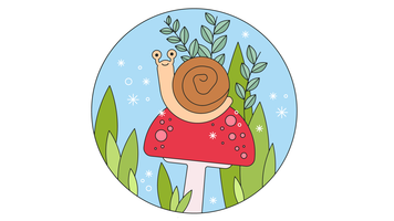 Snail Vector