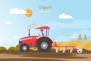 Agricultural work on a field with tractor. vector