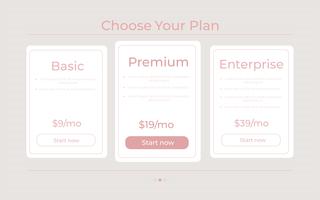 Our price plan  Different Categories of Money pricing vector