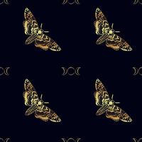 Butterfly Deaths head hawk moth seamless pattern   vector