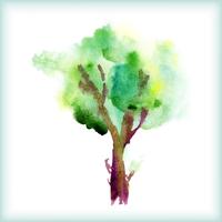 watercolor green tree vector