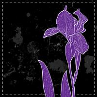 iris for greeting card. vector