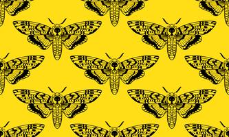 Butterfly Deaths head hawk moth seamless pattern  