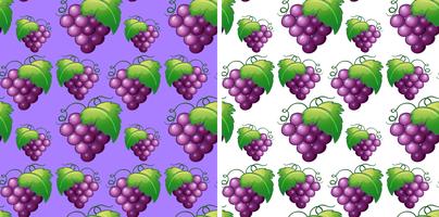 Seamless background with fresh grapes vector