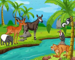 Wild animals standing by the river vector