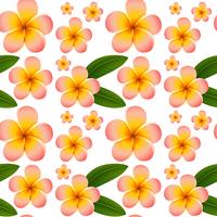 Seamless background with pink plumeria flowers vector