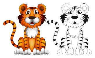 Animal outline for tiger vector