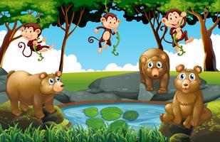 Forest scene with bears and monkeys vector