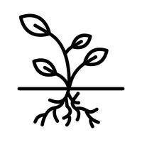 Icono de vector de raíz