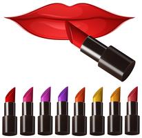 Labios de mujer y muchas barras de labios de color. vector